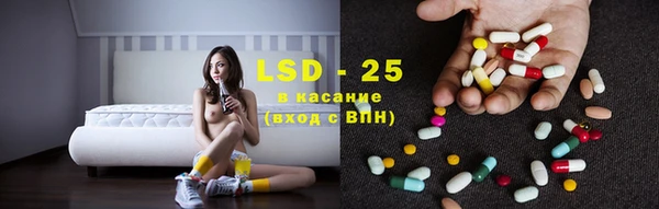 индика Белоозёрский