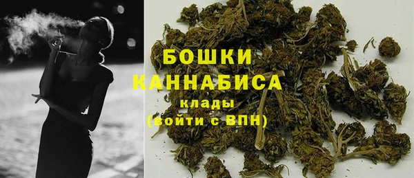 дурь Белокуриха