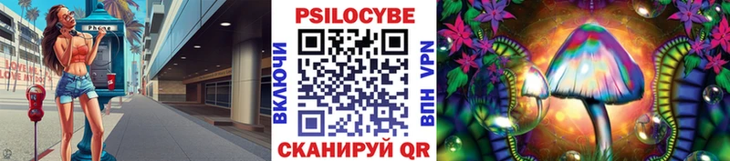 Псилоцибиновые грибы Psilocybe  дарнет шоп  Серов 